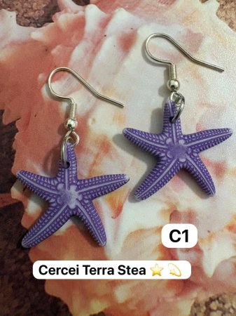  cercei-terra-personalizati [6]