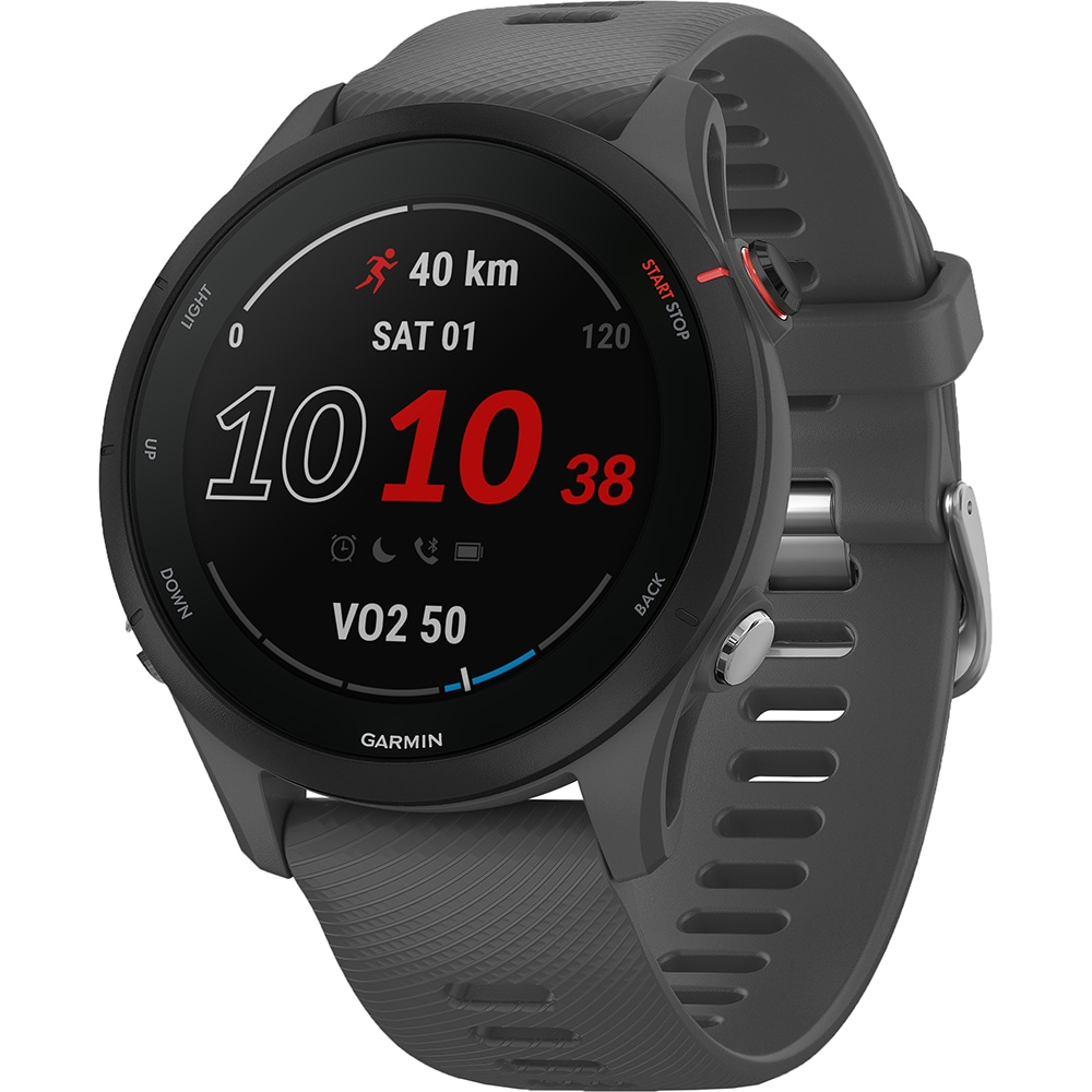 Garmin - Forerunner 255 [1]