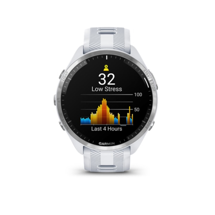 Garmin Forerunner 965 GRI [2]