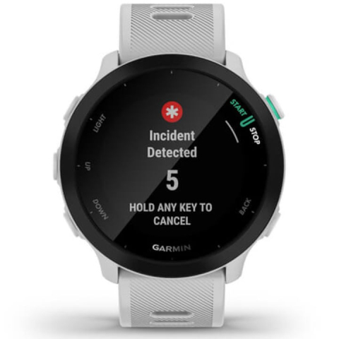 Garmin Forerunner 55 ALB / Whitestone [3]