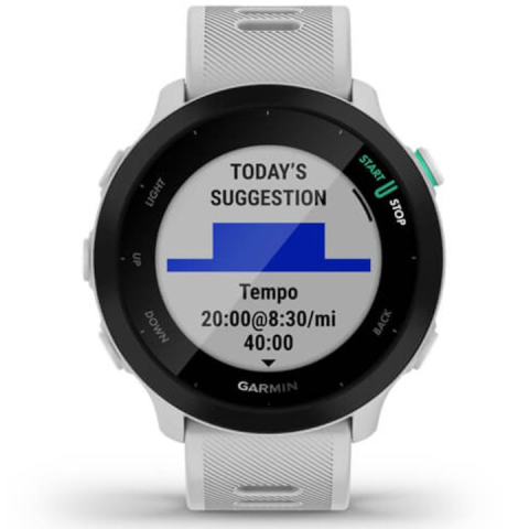 Garmin Forerunner 55 ALB / Whitestone [5]