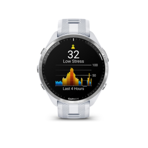 Garmin Forerunner 965 GRI [1]