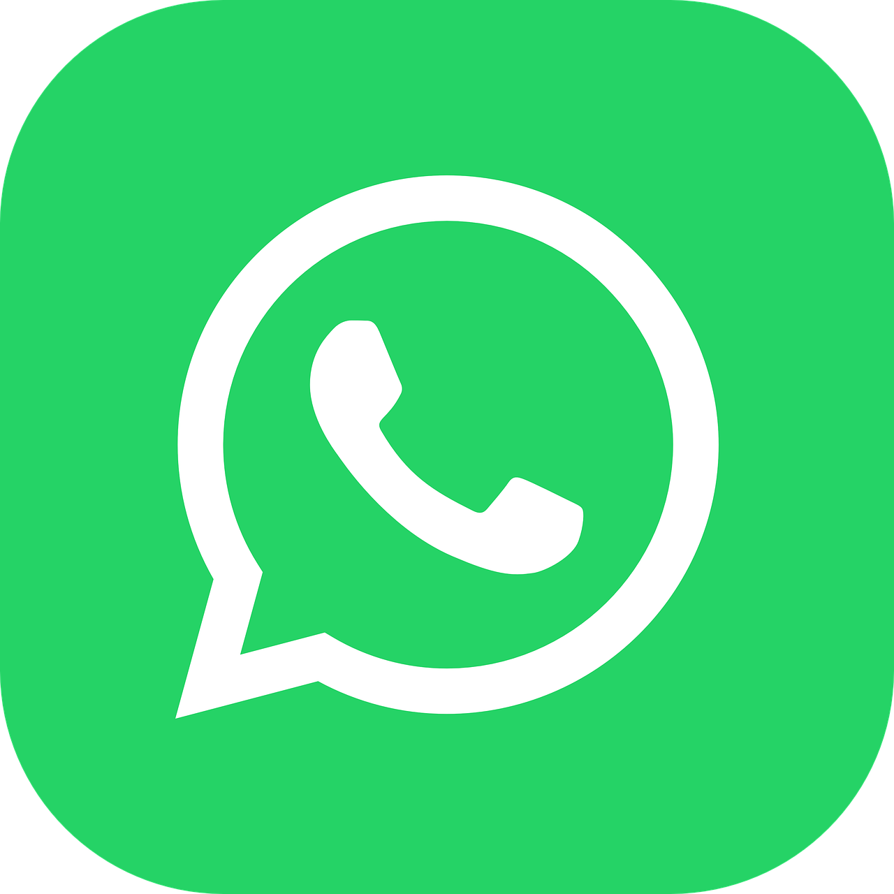 WhatsApp Contact