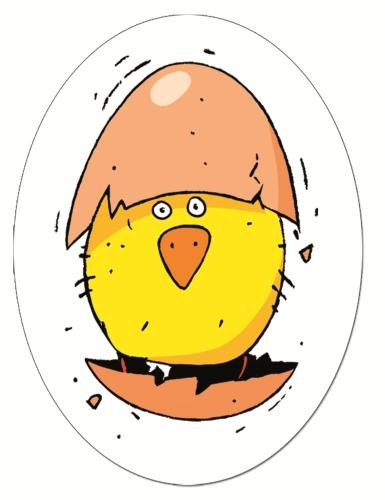 Joc de carti Piou Piou, Djeco [2]