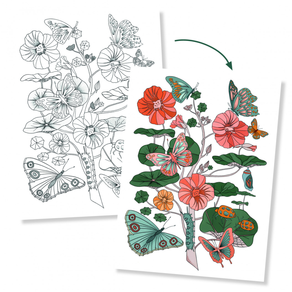 Mapa cu 3 postere de colorat Natura, Djeco [4]