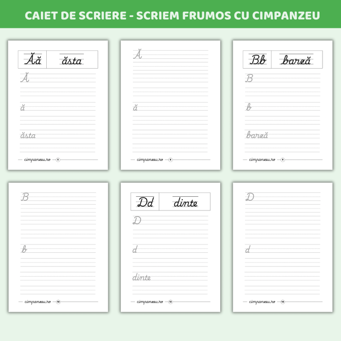 Scriem frumos cu Cimpanzeu - Caiet de scriere caligrafică [2]