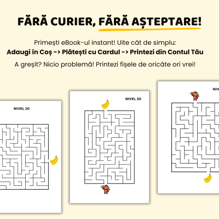 eBook | 40 Fișe cu Labirinturi | Antrenăm Atenția și Răbdarea (5-6 ani) [2]