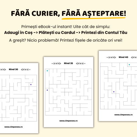 eBook | Conectăm Punctele (7-8 ani) | Dezvoltăm Gândirea Analitică [2]