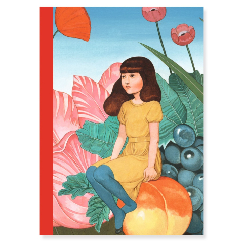 Set 2 carnetele Fedora, Djeco [2]