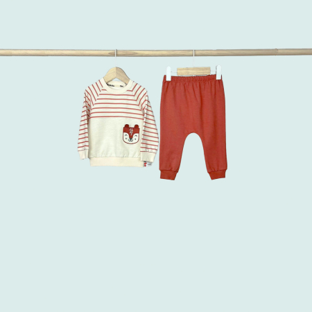 Seturi - Set bluza cu dungi si pantaloni uni