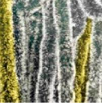 Casă și grădină - Argint d.5*2m