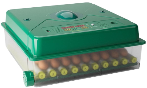 Casă și grădină - Incubator Des Champs