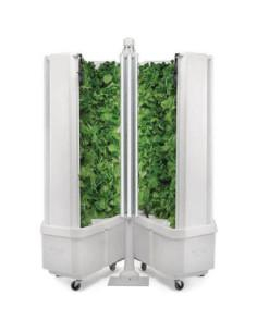 Robotică - Stație Hidroponică