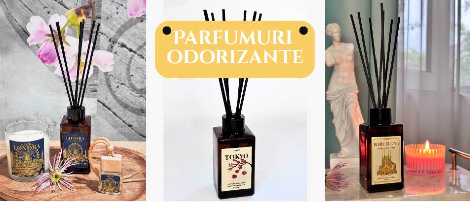 Top 6 parfumuri de cameră cu bețișoare. Cum să alegi aroma care te definește