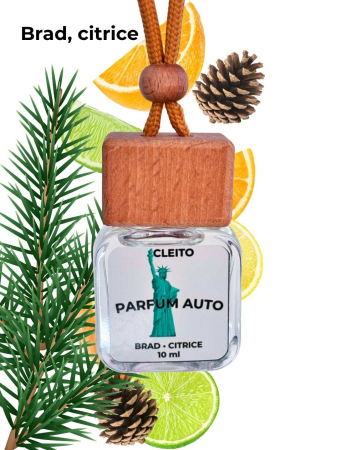 Parfum Auto New York - Brad verde, Citrice Proaspete [1]