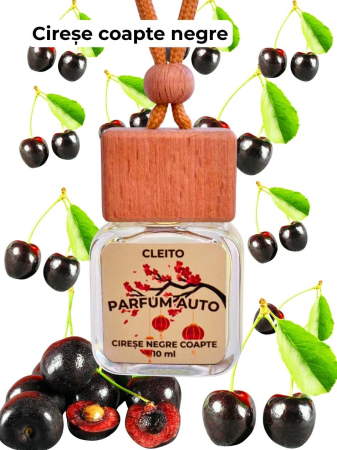 Parfum Auto TOKYO - Cireșe Negre Coapte [1]