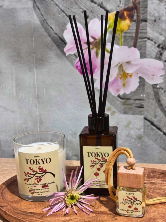 Difuzor  TOKYO - Cireșe negre coapte [4]