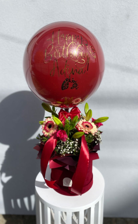EVENIMENTE - Red Passion