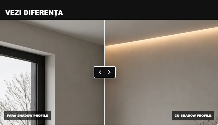 Galerie imagini