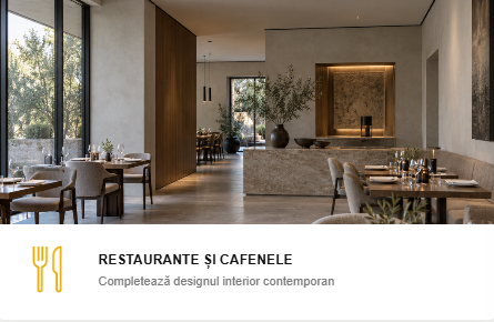 Galerie imagini