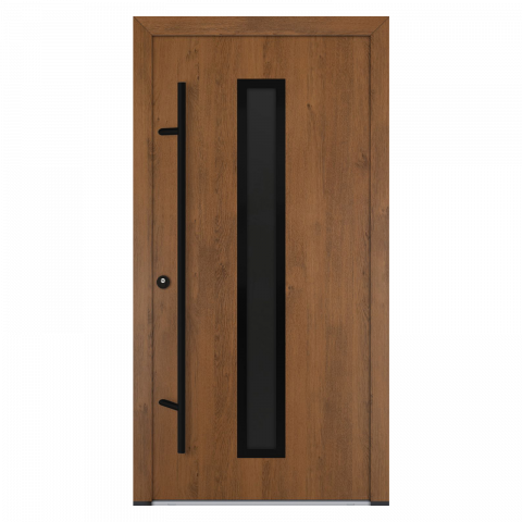 Modele usi aluminiu-otel AC68 - AC68-M21