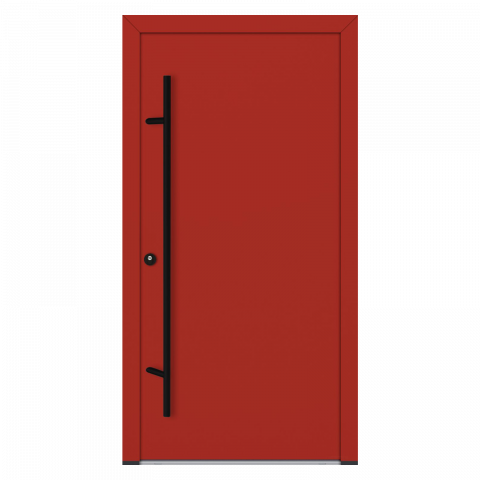 Usi pentru case - AC68-M00-RAL3000