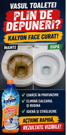 TOP PRODUSE CURATENIA CASEI - KALYON INDEPARTAREA RUGINEI SI CALCARULUI 900ML