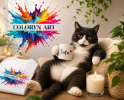 Coloryn Art