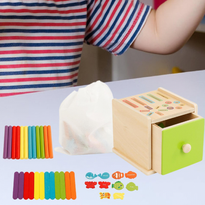 Joc educativ Montessori Cutia Permanentei pentru sortarea formelor si culorilor [4]