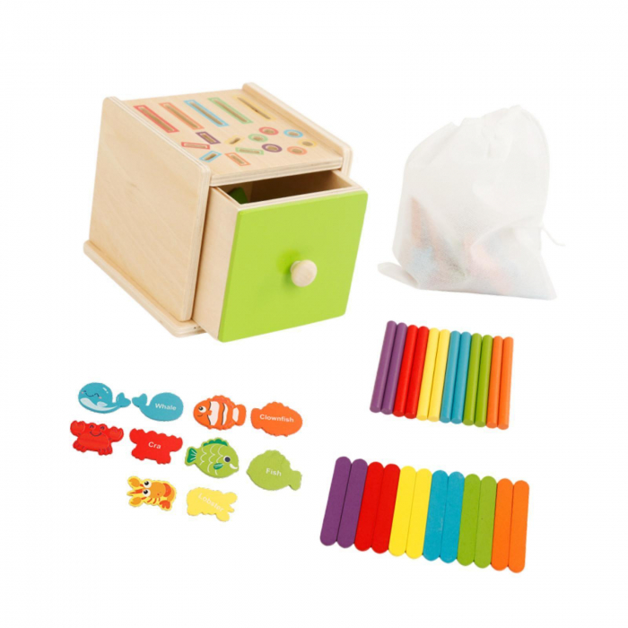 Joc educativ Montessori Cutia Permanentei pentru sortarea formelor si culorilor [5]
