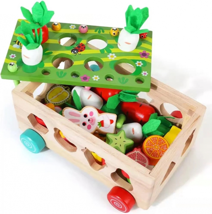 Jucarie Motricitate Masinuta cu Morcovi sortare forme, fructe si pescuit magnetic, multicolor [5]