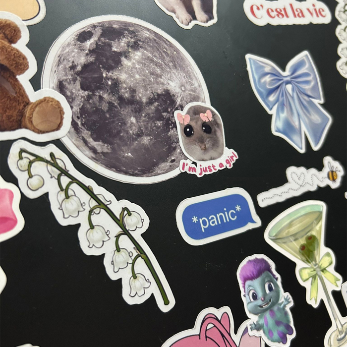 Stickere indoor debitate individual [4]