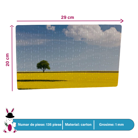 Puzzle Dreptunghi [3]
