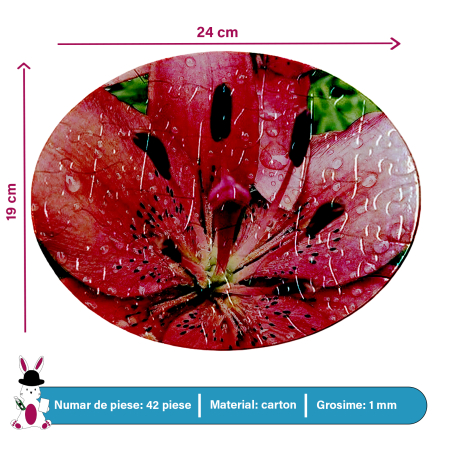 Puzzle Oval [2]