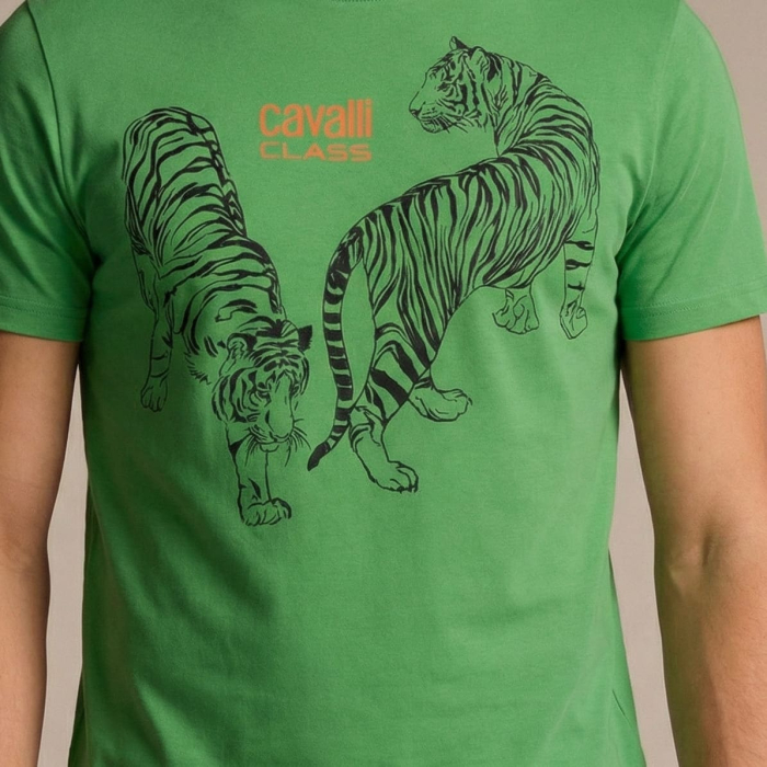 Tricou barbati Cavalli Class verde model CA-28483 [3]