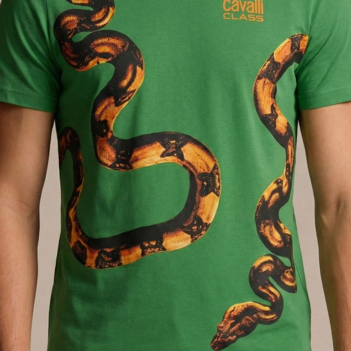 Tricou barbati Cavalli Class verde model CA-28600 [3]