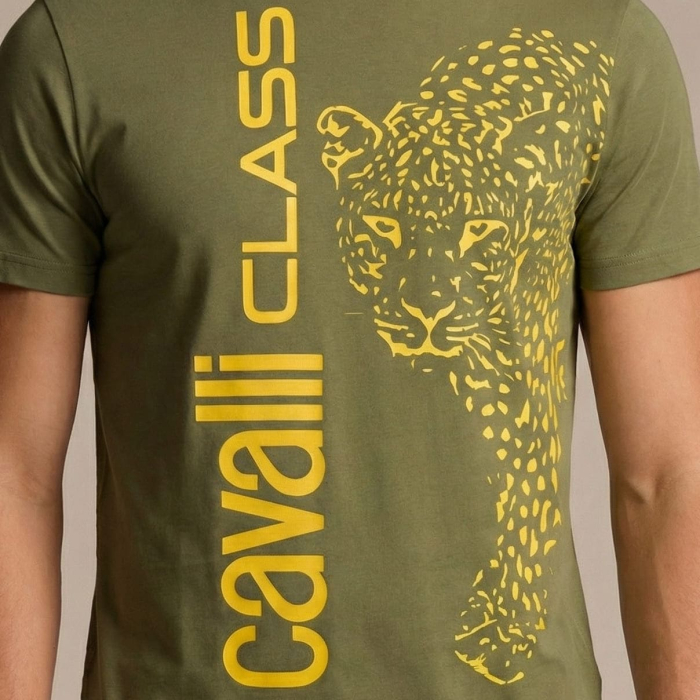 Tricou barbati Cavalli Class verde model CA-28614 [3]