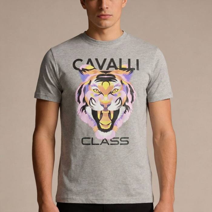 Tricou barbati Cavalli Class gri model CA-36680 [2]