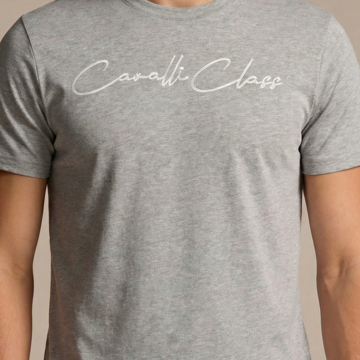 Tricou barbati Cavalli Class gri model CA-36681 [3]