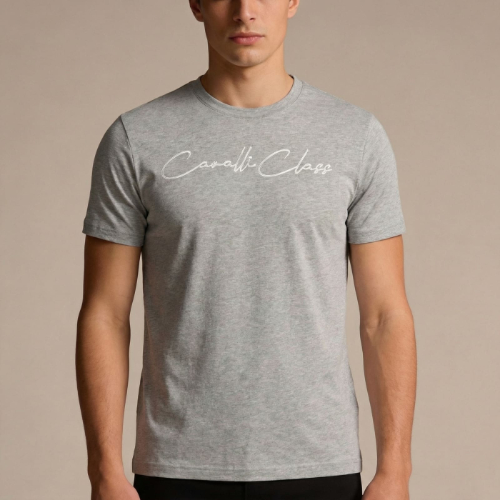 Tricou barbati Cavalli Class gri model CA-36681 [2]