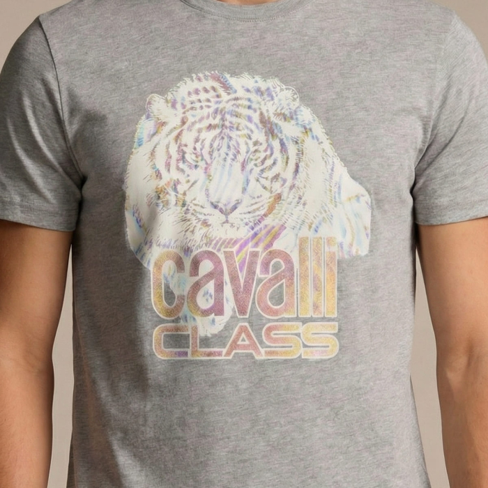 Tricou barbati Cavalli Class gri model CA-36805 [3]