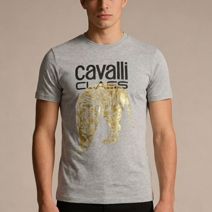 Tricou barbati Cavalli Class gri model CA-36941 [2]