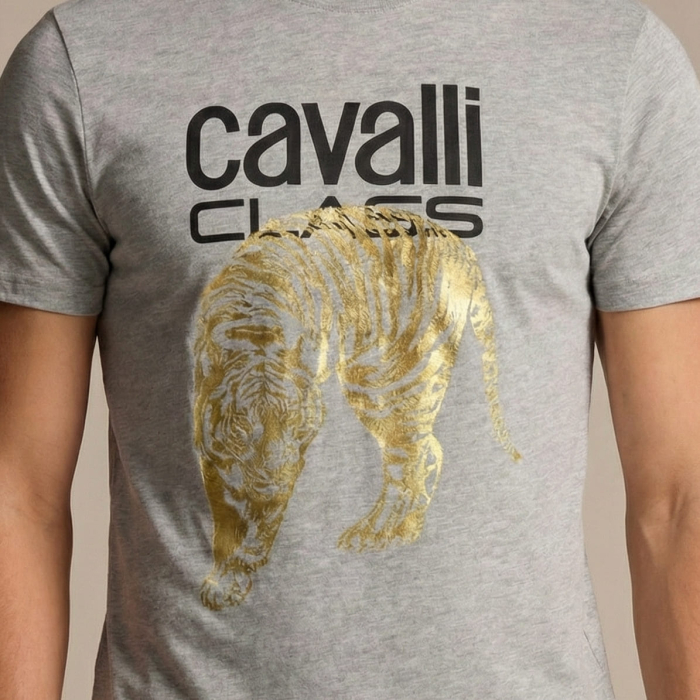 Tricou barbati Cavalli Class gri model CA-36941 [3]