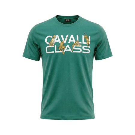 Tricouri - Tricou barbati Cavalli Class verde model CA-36651