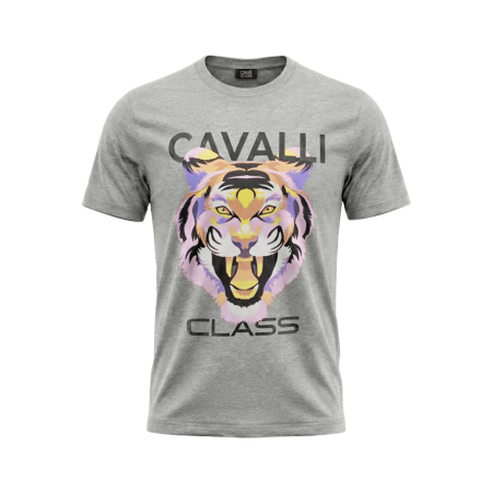 Tricouri - Tricou barbati Cavalli Class gri model CA-36680