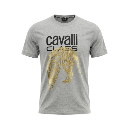 Tricouri - Tricou barbati Cavalli Class gri model CA-36941