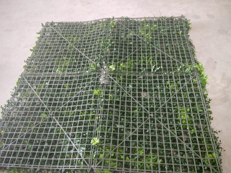 Panou Decorativ Verde Artificial B018 , 100x100 cm [5]