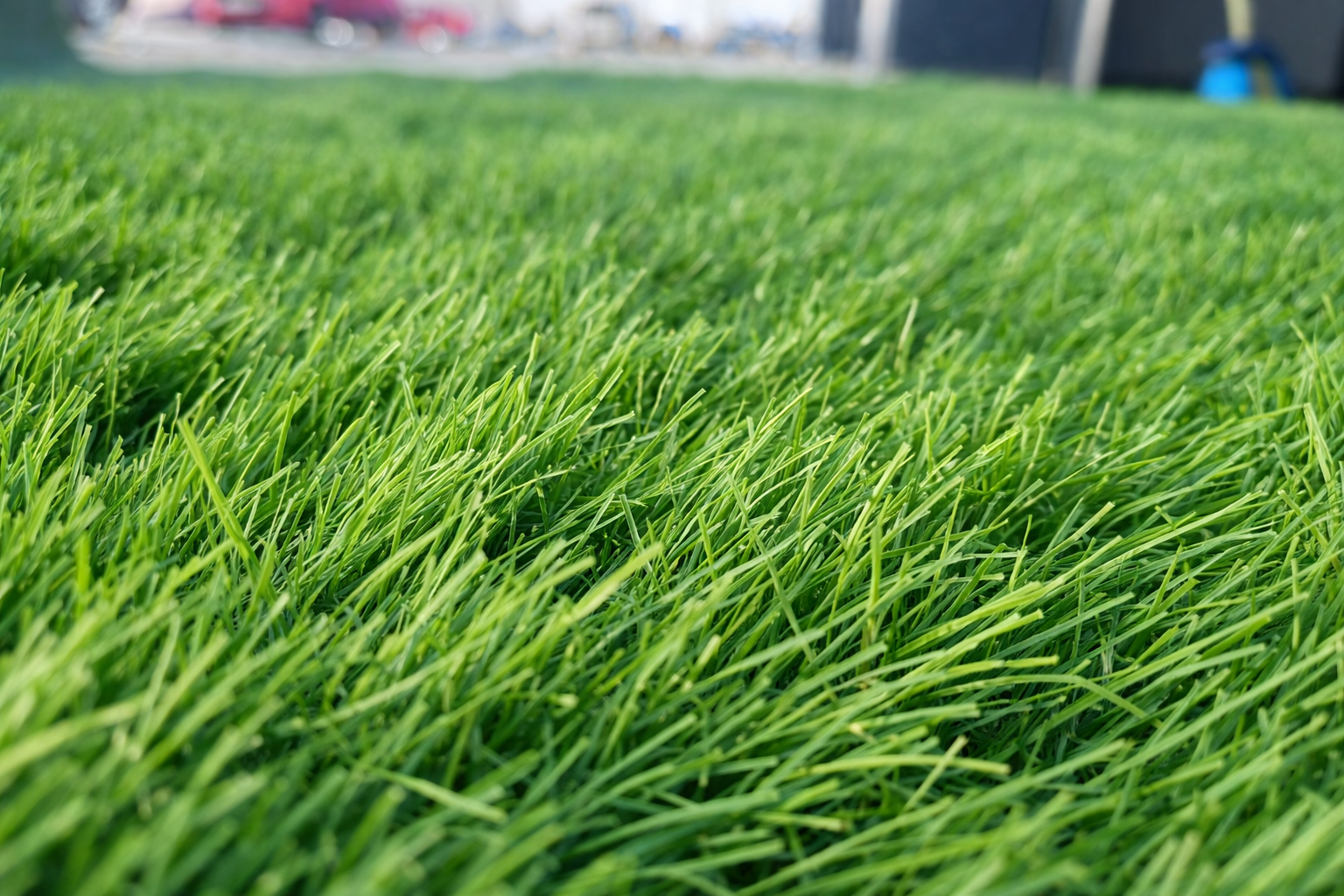 Covor Gazon Verde ieftin [7]