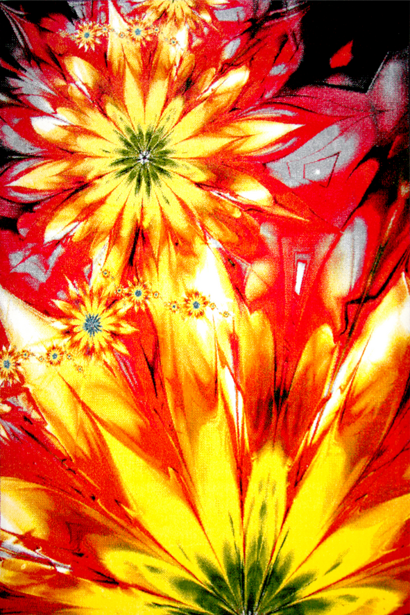 Covor Modern Flower 11012-150 Multicolor 200x300 cm pentru living [1]