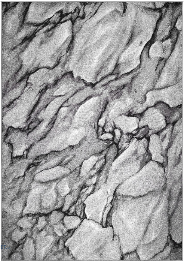 Covor 24050 Gri ieftin [4]